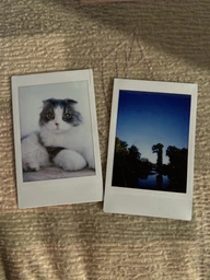 Фотокамера миттєвого друку Fujifilm Instax Mini 12, Lilac Purple (16806133) фото від покупців 14
