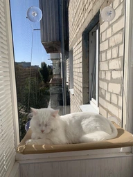 Спальное место для кошки кровать лежанка оконная гамак Sunny Seat Window