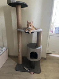 Устойчивая когтеточка для котиков, кошки с домиком гамаком 140*60*50см фото от покупателей 11