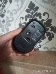 Миша Rapoo 1620 Wireless Black фото від покупців 1