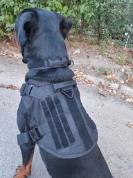 Шлейка для собак Harness K9 Long, металева пряжка фастекс і система MOLLE, L (77-99 см) Оливковий (076L-GREEN) фото від покупців 9