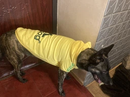 Толстовка для собак Adidog 2XL Розовый