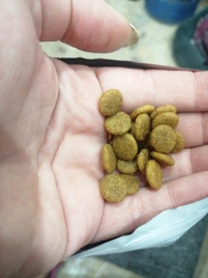 Корм для собак малых пород Royal Canin Urinary S/O Small Dog при заболеваниях нижних мочевыводящих путей, 1,5 кг