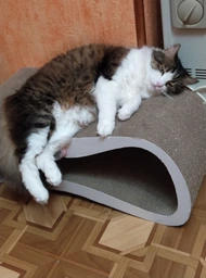 Say Meow Grace кігтеточка-лежанка 67х27х24 см - бежевий
