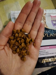 Purina Pro Plan Cat Adult Delicate Turkey сухой корм для кошек с чувствительным пищеварением 1,5 кг фото от покупателей 4
