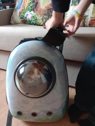 Рюкзак для переноски кошек и собак с иллюминатором CosmoPet "Голубое небо"