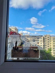 Кормушка для птиц на окно House_for_birds "Балкон" дерево фото от покупателей 10