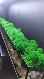 Моссариум со стабилизированым мхом MiNature Moss 80см фото от покупателей 3