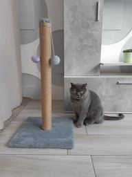 Дряпка для кота Мур-Мяу Стовпчик-2 37х37х72 см для кішок у джутовій мотузці Бежевий