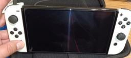 Загартоване захисне скло Screen Pro для Nintendo Switch OLED [387664584] фото від покупців 8