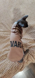 Кофта для кота или кошки Style Pets HARVARD (0019hr) XL- фото от покупателей 2