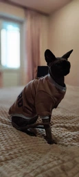 Кофта для кота или кошки Style Pets HARVARD (0019hr) XL-
