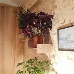Полиця навісна Компаніт П-14 ательє світлий фото від покупців 4