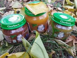 Дитяче пюре Gerber Яблуко та гарбуз, 130 г (1227245) фото від покупців 1