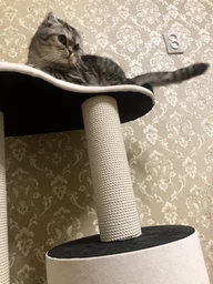 Котяча кігтеточка дряпка Венді 2 з будиночком для кота, кішки у хб канаті 70х60х40см біло чорна фото від покупців 2