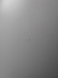 Зволожувач повітря Xiaomi DEERMA Humidifier with Remote Control White DEM-LD220 4L фото від покупців 9