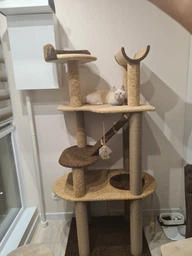 Высокая компактная когтеточка лежанки гамак для кошек, котов 190х80х60см бежево коричневый фото от покупателей 4