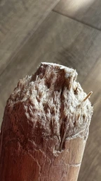 З кавового дерева Палиця HealthyDoggo Coffee Stick розмір S (до 5кг) фото від покупців 5
