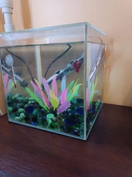 Акваріум Collar aGLASS Nano 27 л (0395) фото від покупців 8