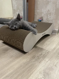 Кігтеточка дряпка з гофрокартону лежанка для котів з картонним фасадом Cat Joy Modern Whitish 54x13x25 см