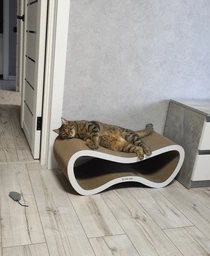 Когтеточка из картона усиленного с деревянным фасадом Cat Joy Fusion Beige 77x29x29 см фото от покупателей 4