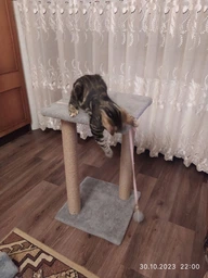 Когтеточка для кота дряпка Мур-Мяу Гламур 37х37х64 см для кошек в сизалевой веревке Светло Бежевый фото от покупателей 3
