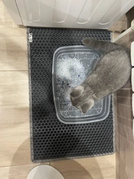 Килимок двошаровий для котячого лотка (туалета) "CAT IN BOX" EVA Cat mat 60х40 см бежевий фото від покупців 1