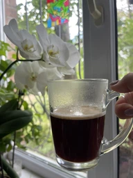 Кофе в зернах Blasercafe Gourmets Plaisir 250 г