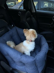 Автокрісло сумка-переноска автогамак лежак для собак тварин автомобільне перенесення 50 х 45 см Коричневий фото від покупців 5