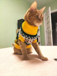 Светр для котів (кішок) Візерунки XL Жовтий фото від покупців 2