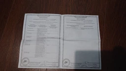 Фен PHILIPS HPS910/00 фото від покупців 3