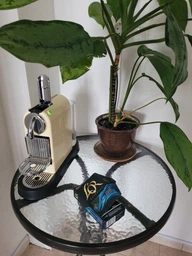 Кофе в капсулах L'OR Espresso Papua New Guinea 10 шт совместимы с Nespresso 100% Арабика (8711000360620)