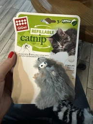 Игрушка для котов GiGwi Енот с кошачьей мятой Catch&scratch 8 см (75019Collar) фото от покупателей 5