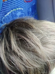 Набір крейди для волосся 6 шт Hair chalk Різнокольорові барвники гребінець для дітей та дорослих