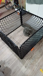 Клетка загон для собак щенков и других питомцев Malatec 90x90x60 см складной переносной вольер из ABS пластика для квартиры и улицы