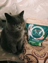 Сухий корм PURINA ONE Indoor для дорослих котів, що постійно перебувають у приміщенні, з індичкою 800 г (7613035468047) фото от покупателей 14