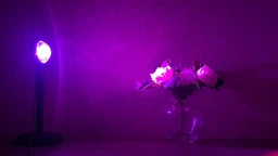 Проекційний світильник Sunset Lamp RGB 16 кольорів з пультом на штативі: USB проектор заходу сонця, атмосферна LED лампа фото от покупателей 1