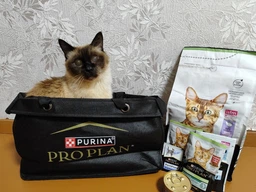 Сухий корм Purina Pro Plan Sterilised Adult 1+ Renal Plus для стерилізованих котів з індичкою 1.5 кг