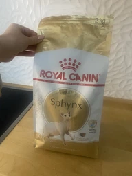 Royal Canin Sphynx Adult (Роял Канін Сфінкс) сухий корм для котів породи Сфінкс від 1 року, 2 КГ
