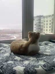 Мягкий плед одеяло для домашних животных собак, кошек в переноску, домик 42*60см фото от покупателей 3