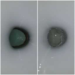 Таблетки для чищення унітазу від вапняного та сечового каменів Denkmit WC Tabs 16 шт фото от покупателей 6
