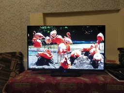 Телевизор Ergo 32" 32WFS9200 фото от покупателей 10