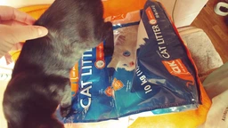 Наповнювач гігієнічний бентонітовий AK Cat Products Cat Litter для котів з ароматом натуральний 10 кг
