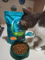 Сухий корм PURINA ONE Adult Dual Nature Spirulina для дорослих котів, з куркою 1.4кг (7613036269025) фото від покупців 10