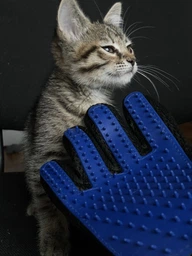 Рукавичка для зняття вовни з домашніх тварин PET BRUSH GLOVE Уневерсальная