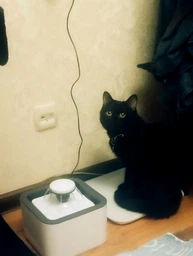 Поилка для животных Pet Water FOUNTAIN фото от покупателей 9