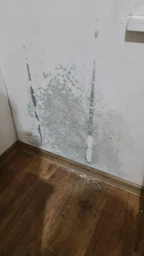 Засіб для видалення цвілі San Clean 5 л (4820003543139) фото від покупців 1