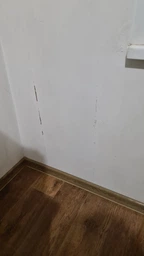 Засіб для видалення цвілі San Clean 5 л (4820003543139)