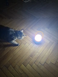 Ліхтар Quantum Pretty LED + Micro USB кабель (QM-FL3010) фото від покупців 7
