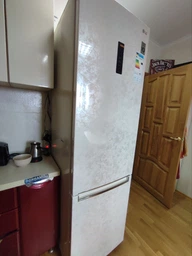 Холодильник LG GW-B509SEKM фото от покупателей 13